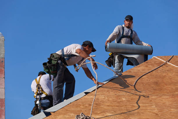 Best Roof Repair Services  in Twin Lakes, CO