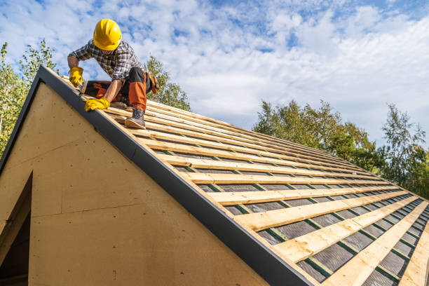 Best Roof Maintenance Services  in Twin Lakes, CO