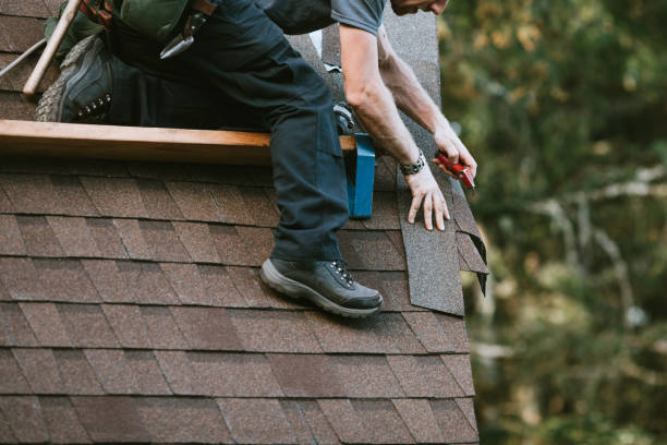 Best Roof Leak Repair  in Twin Lakes, CO